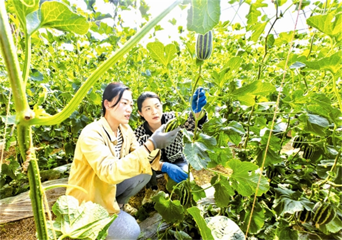 mengj53261_b.jpg mengj53261_b.jpg