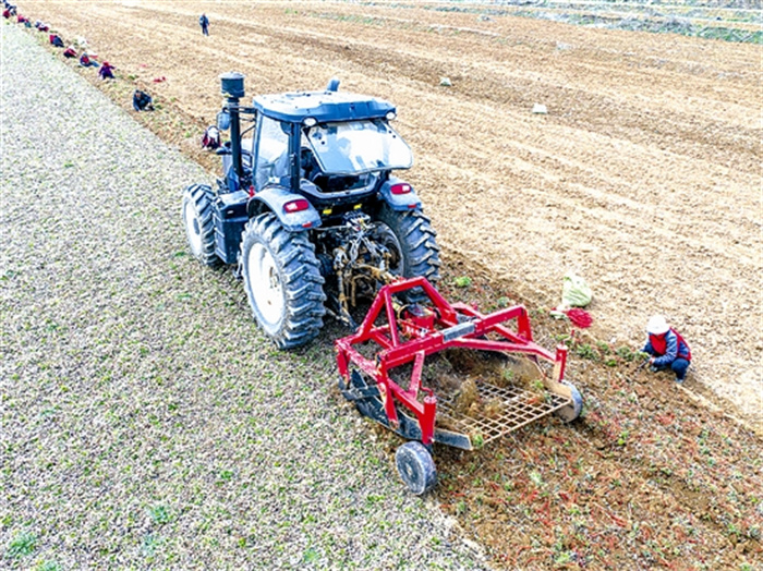 fangmy5432_b.jpg fangmy5432_b.jpg